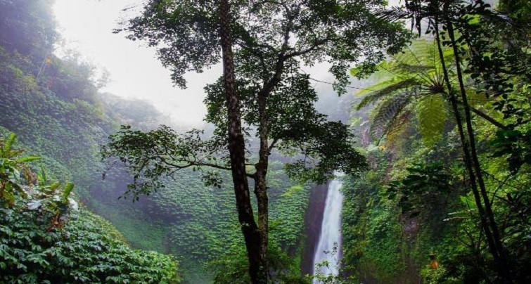 cherrapunji tour package shillong