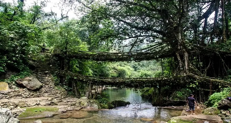 Book Your Shillong Tour
